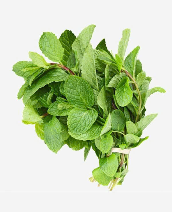 Húng lủi