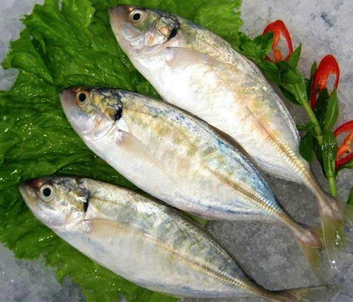 Cá bạc má