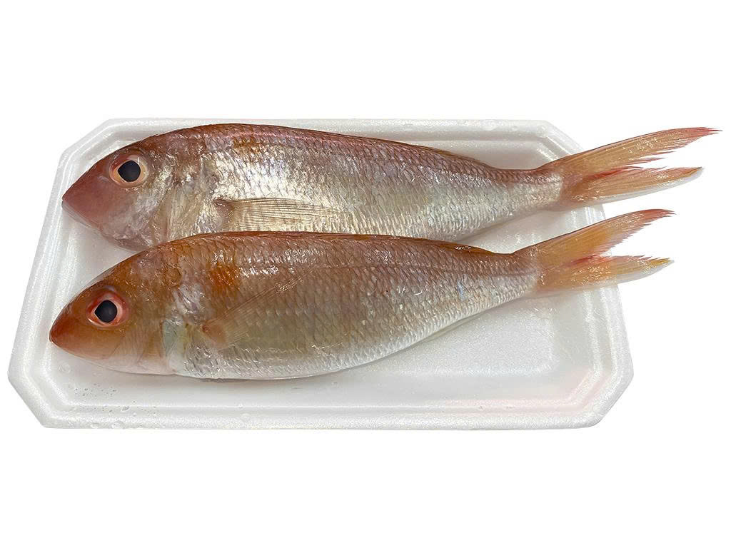 Cá hường