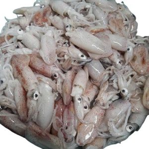 Mực ống nhỏ