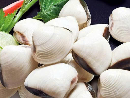 Nghêu lớn