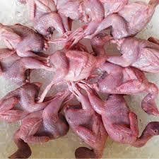 Chim cút làm sạch